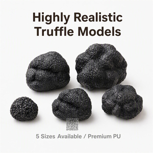Modèle <span class=keywords><strong>de</strong></span> truffe noire réaliste pour <span class=keywords><strong>l</strong></span>'affichage en musée d'<span class=keywords><strong>histoire</strong></span> naturelle, exposition agricole, festival <span class=keywords><strong>de</strong></span> la truffe, accessoire d'exposition, 5 tailles - Product Image 1