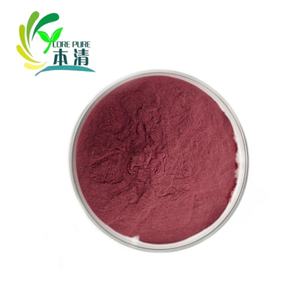 Poudre lyophilisée de fruit de <span class=keywords><strong>cassis</strong></span> Poudre de jus de <span class=keywords><strong>cassis</strong></span> <span class=keywords><strong>à</strong></span> <span class=keywords><strong>vendre</strong></span> - Product Image 1