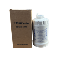 Filtre à carburant pour moteur diesel Weichai Baudouin 6M11 WP6, pièce de rechange 1001044158