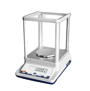 Worner Lab Laboratory Precision Sensitive Balance For Sale Price