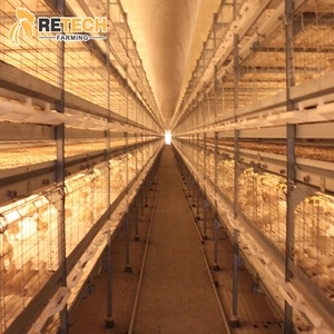 <span class=keywords><strong>Corral</strong></span> <span class=keywords><strong>de</strong></span> engorde equipo engorde sistema pollo tasa - Product Image 1