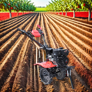 Motoculteur multifonctionnel pour l'agriculture, machines agricoles 5hp 7hp 9hp, désherbeur, motoculteur à essence, cultivateurs rotatifs - Product Image 6