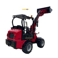 CASEREM TL10 pour mini-chargeuse sur pneus diesel avec système entièrement hydraulique, capacité de la benne de 0,6 m³ pour l'agriculture et la construction