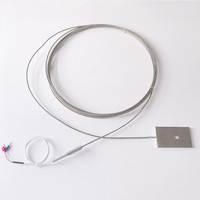 Detector de Temperatura de Resistencia de Platino Pt100 PT1000 de Clase A de Alta Precisión Haichen, Sonda de 3mm-8mm de Diámetro, IP65, OEM