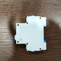 Disjoncteur unipolaire DZ47-63 MCB C20, mini-disjoncteur AC110V 50Hz 6kA, courant de coupure, type rail DIN, protection contre les surcharges et les courts-circuits