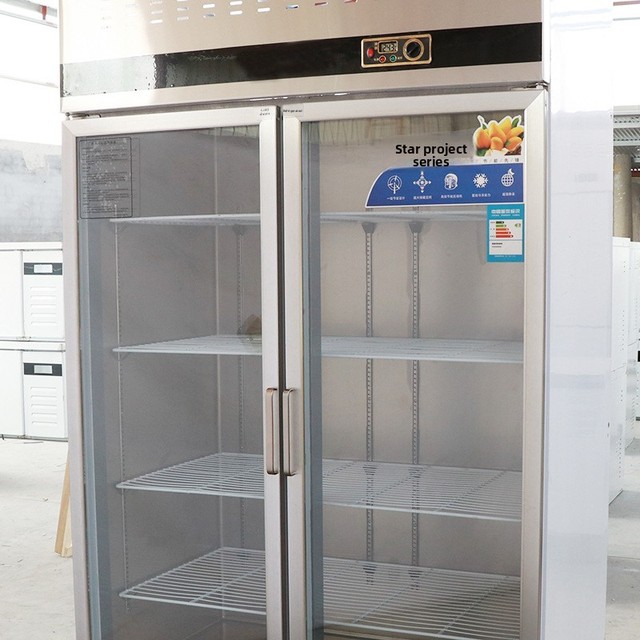 Double-door Display Cooler Cabinet Refrigerator One Machine Multi-Purpose Large-Capacity Intelligent Temperature Control