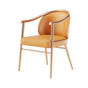 <span class=keywords><strong>Chaise</strong></span> de loisirs de luxe moderne pour la maison, la salle à manger, le bureau et le balcon thé pour les meubles de salon - Product Image 5