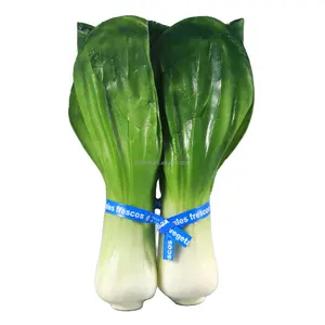 Corbatas de papel/plástico para verduras de 3/8 pulgadas de fábrica de China para paquete