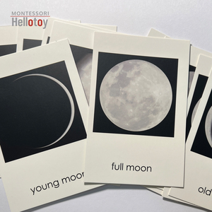 Forniture educative Montessori carte fasi lunari emisfero settentrionale - Product Image 2