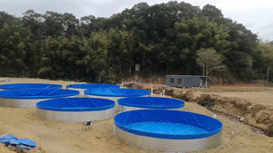 مقشدة بروتينية متكاملة لمعالجة المياه ، فلتر آلي للأسطوانة ، خزان بركة السمك ، نظام إعادة تدوير الاستزراع المائي - Product Image 2