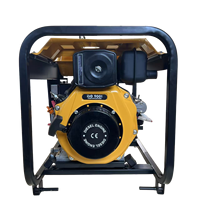 Hochwertiger tragbarer 3KW 5KW-Dieselgenerator mit offenem Typ Kleiner Haushalts-Backup-Set für den Außenbereich Geräuschloser Typ mit 230V Nennspannung