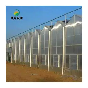 2000 Square Meters Dutch Bucket Polytunnel Greenhouses Polycarbonate Greenhouse Agricultural