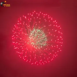 Salute kembang api cangkang tampilan 6 inci cangkang kembang api tembakan langit petasan kembang api