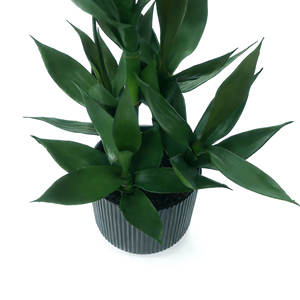 Bambú Artificial de Aspecto Natural, Bambú de Alta Simulación con Maceta de Cerámica, Bambú Artificial para Decoración Interior y Exterior - Product Image 3