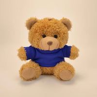 Faible MOQ, porte-clés ours en peluche personnalisé de 10 cm avec logo, t-shirt, breloque de sac en peluche, cadeau pour les promotions, sac à dos pour enfants, cadeaux de fête