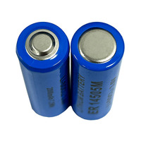 Batería de Litio Metálica Li-Socl2, Tamaño AA, ER14505M, 3.6V, 2000mAh, Celda de Batería en Espiral, Suministro de Fábrica, Paquete OEM Disponible