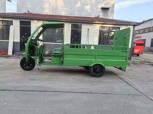 2025 <b>Tricycle</b> 3 Wheel Open Body 48V 1000W Motor High Safety Family Passenger Vehicle Open Body <b>Tricycle</b> - Product Image 2
