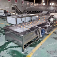Vbjx Commerciële Automatische Industriële Avocado Fruit En Groente Reiniging Wasmachine Lijn Ozon Transportband Productiviteit