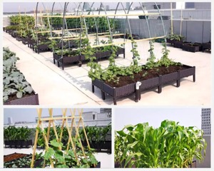 Grand pot <span class=keywords><strong>de</strong></span> fleurs en plastique pour <span class=keywords><strong>l</strong></span>'extérieur, bac à plantes pour la culture <span class=keywords><strong>de</strong></span> <span class=keywords><strong>l</strong></span>égumes, jardinières <span class=keywords><strong>de</strong></span> balcon, boîte <span class=keywords><strong>de</strong></span> plantation pour <span class=keywords><strong>l</strong></span>'intérieur et <span class=keywords><strong>l</strong></span>'extérieur - Product Image 6