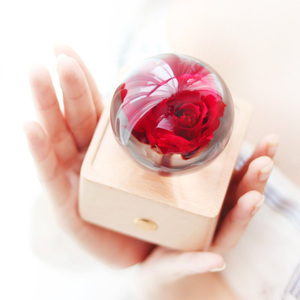 Articles les plus tendances en ce moment nouvelle idée de nouvelle entreprise pour les produits en ligne boule de cristal veilleuse fleur cadeau - Product Image 1