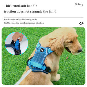 Conjunto de arnés de perro personalizado, collar de Mascota de diseñador y Correa, arnés de cuerpo de perro personalizado, fabricantes de correa de collar de perro - Product Image 2