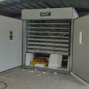 Incubatrice Elettrica Completamente Automatica 12V DC 110V 220V AC per <span class=keywords><strong>2000</strong></span> Uova di Gallina - Product Image 6