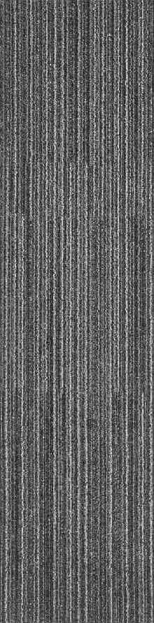 Gris5