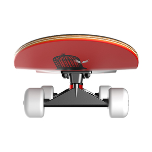 Venta caliente <span class=keywords><strong>cuatro</strong></span> <span class=keywords><strong>ruedas</strong></span> monopatines 31*8 pulgadas al por mayor niños principiantes Street Brush monopatines - Product Image 6