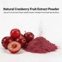 Mejor Precio en Extracto Natural de Arándano en Polvo, Extracto de Fruta Seca por Pulverización, Materia Prima para Premezclas de Bebidas y Formulaciones Herbales