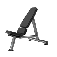 Banc de musculation en acier Realleader, 55 degrés, équipement de gym commercial de haute qualité pour club de fitness, garantie 6 ans