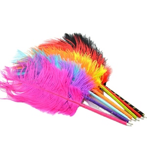 Stylos à bille fantaisie avec plumes, stylo moelleux à plumes - Product Image 1