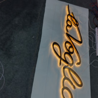 Maßgefertigtes 304 Edelstahl Hintergrundbeleuchtetes Schild Hersteller Hochwertiges Einfarbiges Dekoratives Hängendes Wasserdichtes IP67 LED-Logo