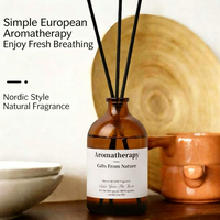 Diffuseur d'huiles essentielles en verre écologique de 100 ml, design nordique pour la décoration de la maison, avec libération de parfum longue durée