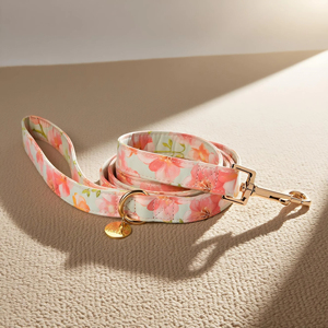 Laisse de chien en coton de luxe pour la peau à la mode réglable caractéristiques personnalisées caractéristiques lumineuses doux durable pour les chiens - Product Image 1