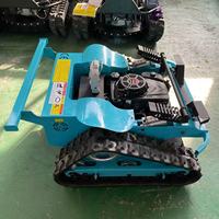 Cortadora de Césped Mini Crawler con Certificación CE y E, Elevación Manual, 9HP, para Invernaderos, Granjas, Aeropuertos, Patios Traseros y Sitios de Recuperación