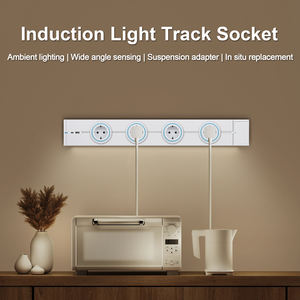 Enchufe de Pared Compacto con Riel Inductivo Global Bingoelec - Enchufe de Alimentación Multi-Idioma con Diferentes Adaptadores - Diseño de Montaje en Pared - Product Image 4