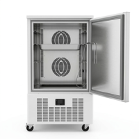 Congélateur-chiller commercial 10 plateaux en acier inoxydable avec refroidissement par air/ventilateur -40°C, congélation rapide et dégivrage automatique