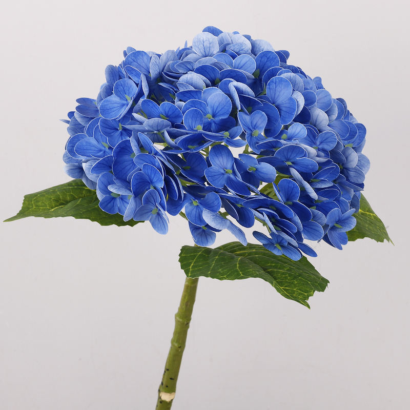 สีน้ำเงิน