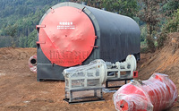 Horno de carbón de alta capacidad, diseño de ahorro de energía, horno de carbón de madera, máquina para hacer carbón biológico con Ce Iso