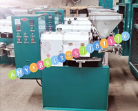 Sanying – presseur d'huile de graines de tournesol, huile d'olive de soja, noix, noisette, Machine de pressage
