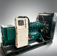 Hocheffizienter 150kW Gasgenerator mit Autostart für Industrie, Gewerbe und Notstromversorgung