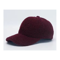 Gorra de béisbol de Otoño Invierno para mujer, gorra de camionero con sombrilla sólida con Material de felpa de lana de cordero Artificial para mantener el calor en primavera