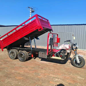 <span class=keywords><strong>Triciclo</strong></span> de Carga de Gasolina de <span class=keywords><strong>400cc</strong></span>, Tipo Reversible de 9 Ruedas, Volquete de Servicio Pesado, <span class=keywords><strong>Triciclo</strong></span> de Carga de 350cc para Logística de Almacén - Product Image 3