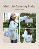 Sac à dos de transport pliable en polyester Oxford pour cochon d'Inde avec fenêtre en maille pour lapin, rat, oiseau, perroquet, petit animal – Sac de voyage
