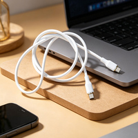 Kabel pengisian daya dan transfer data USB-A ke Type-C micro fruit berkualitas tinggi harga terjangkau dari pabrik OEM 100CM untuk adaptor charger