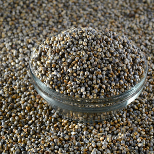Millet non glutineux de haute qualité pour l'alimentation animale et la nutrition du bétail, qualité alimentaire, approvisionnement en vrac, Inde, durée de conservation de 12 mois - Product Image 1