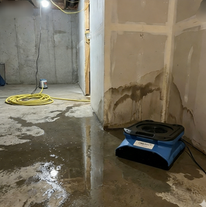 मरम्मत परियोजनाओं में कुशल सुखाने के लिए एयर मोवर 2 गति सेटिंग्स के साथ। - Product Image 3