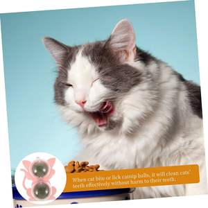 Plantes d'intérieur Jouets pour chats Puzzles pour chats Lécher les murs Herbe à chat - Product Image 4