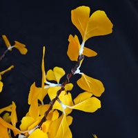 Vente chaude usine : Décoration paysagère extérieure pour jardin, mariage, Noël – Feuilles artificielles roses de 3 m, éclairées par LED, indice IP65