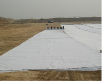 Couleur noire PP tissé respectueux de l'environnement Groundcover géotextile tissu de lutte contre les mauvaises herbes